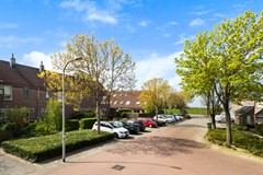 Scholekster 41_01.jpg